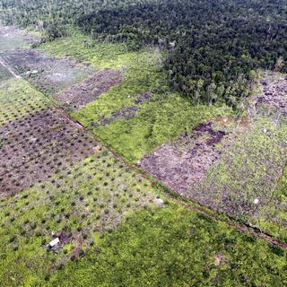 La déforestation en Indonésie [EPA / Keystone - Bagus Indahono]