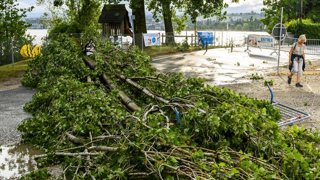 Dans le canton de Vaud, la centrale de police a reçu une centaine d'appels, en raison de chutes d'arbres, de branches cassées ou de divers objets qui se sont retrouvés sur des voies de circulation. [Keystone - Jean-Christophe Bott]