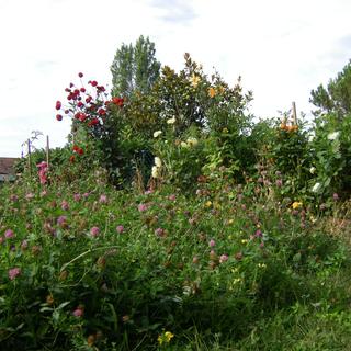 Jardin en héritage. [RTS - ©Isabelle Gendre]