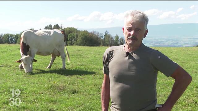 Les producteurs contestent la baisse du prix du lait