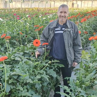 Jean-Marc Crousaz, directeur de Crousaz Fleurs à Yvorne (VD). [RTS - Xavier Bloch]