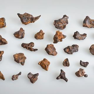 La météorite du Twannberg. [Thomas Schüpbach]