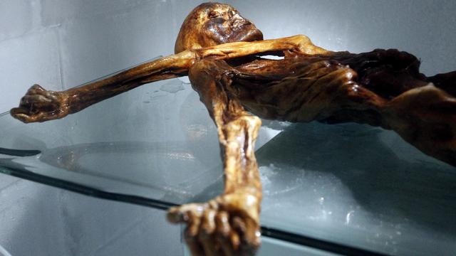 Ötzi [AFP - Andrea Solero]