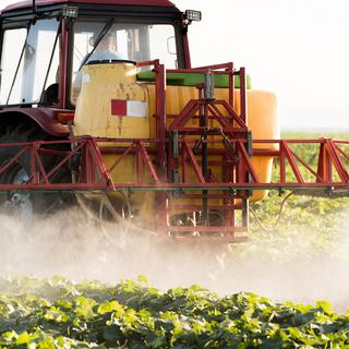 Il y a bien une corrélation entre lʹaugmentation de la quantité dʹengrais et de pesticides de synthèse et le déclin vertigineux (jusquʹà 60%) des espèces dʹoiseaux des milieux agricoles. [Depositphotos - fotkostic]