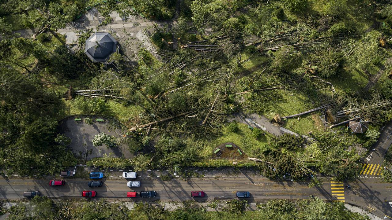 La Chaux-de-Fonds commence la replantation d'arbres, après la tempête de l'été. [KEYSTONE - VALENTIN FLAURAUD]