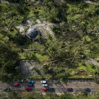 La Chaux-de-Fonds commence la replantation d'arbres, après la tempête de l'été. [KEYSTONE - VALENTIN FLAURAUD]