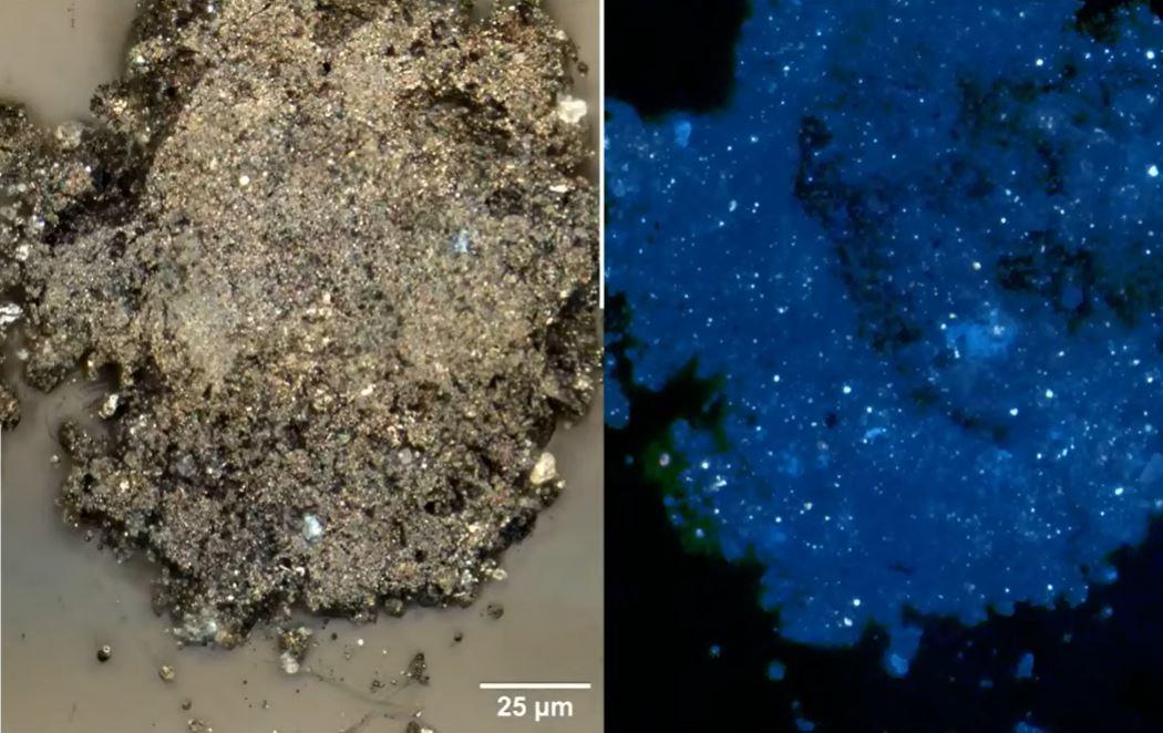 Du carbone extraterrestre prélevé sur Bennu: vu en lumière naturelle (à gauche) et en lumière ultraviolette (à droite): des "globules organiques" sont révélés en blanc, ce qui ravi les scientifiques. [NASA TV - Capture d'écran]