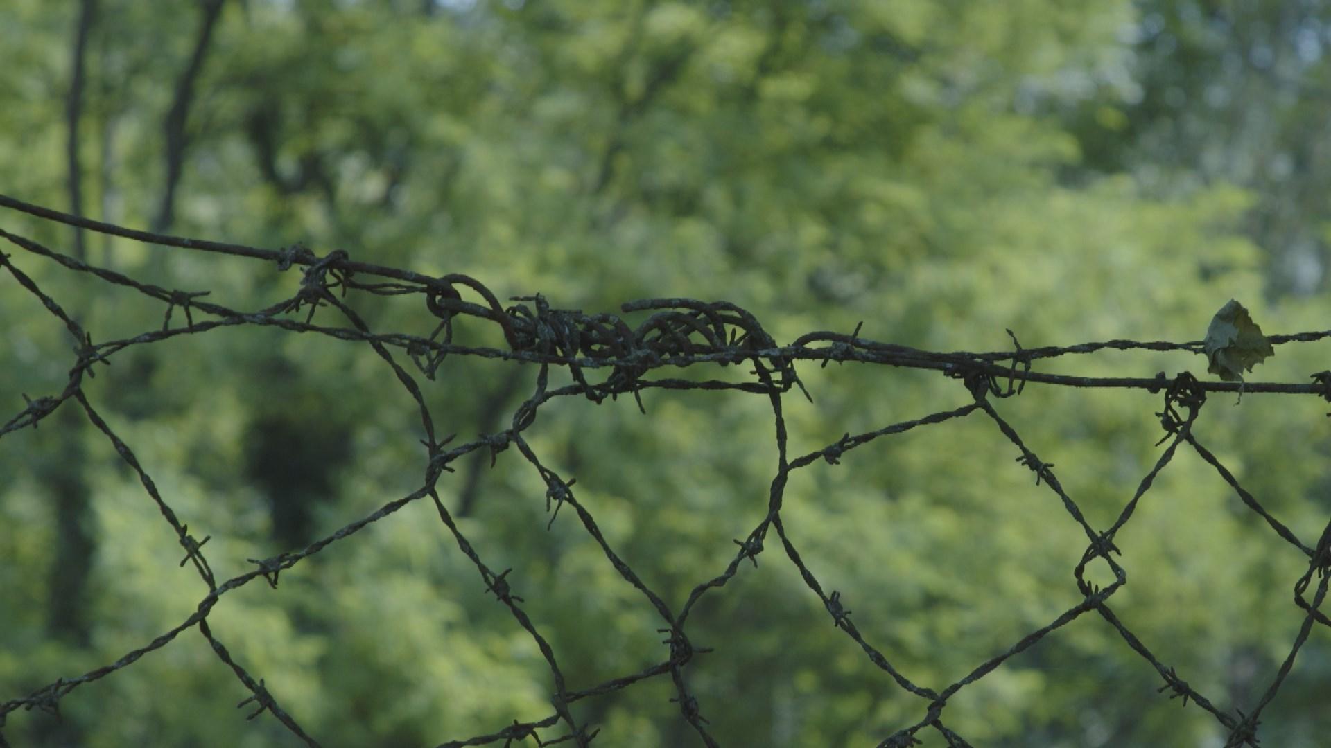 La Ramina, clôture métallique érigée par l'Italie pour empêcher le trafic illégal. [RTS]