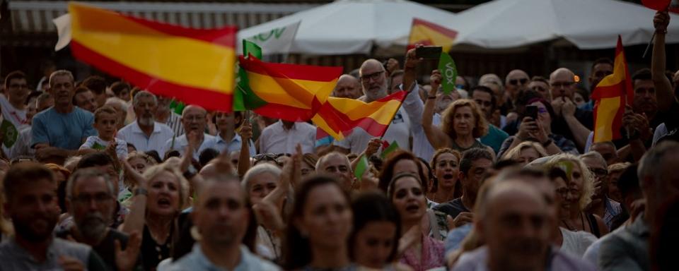 Des partisans du parti d'extrême-droite espagnol Vox manifestent avant les élections législatives. [AFP - Loyola Perez De Villegas Muniz / Anadolu Agency]