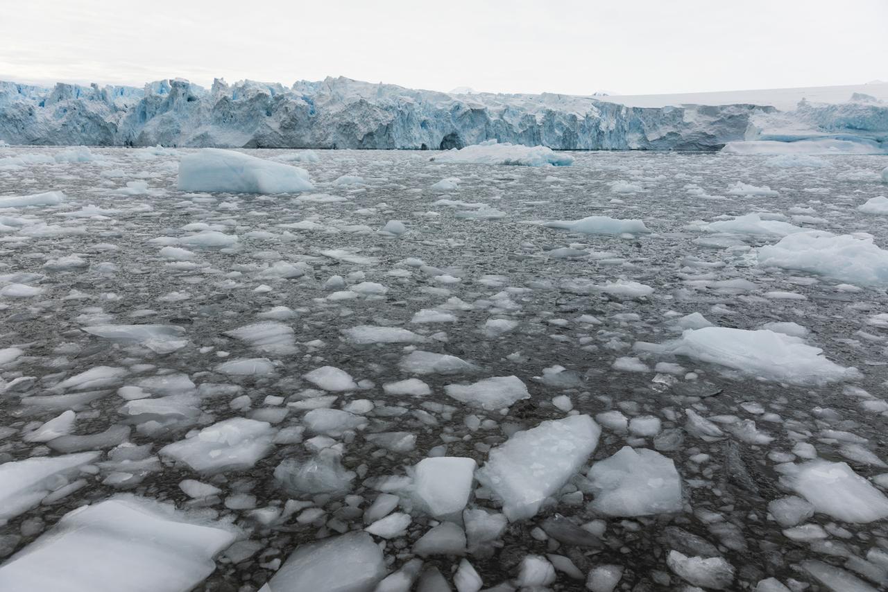 De la glace flottante et un iceberg de l'île Stonington, en Antarctique, le 8 mars 2019. Dans cette mer, la glace a atteint son niveau le plus bas jamais enregistré. [Keystone - Ric Tapia/AP]