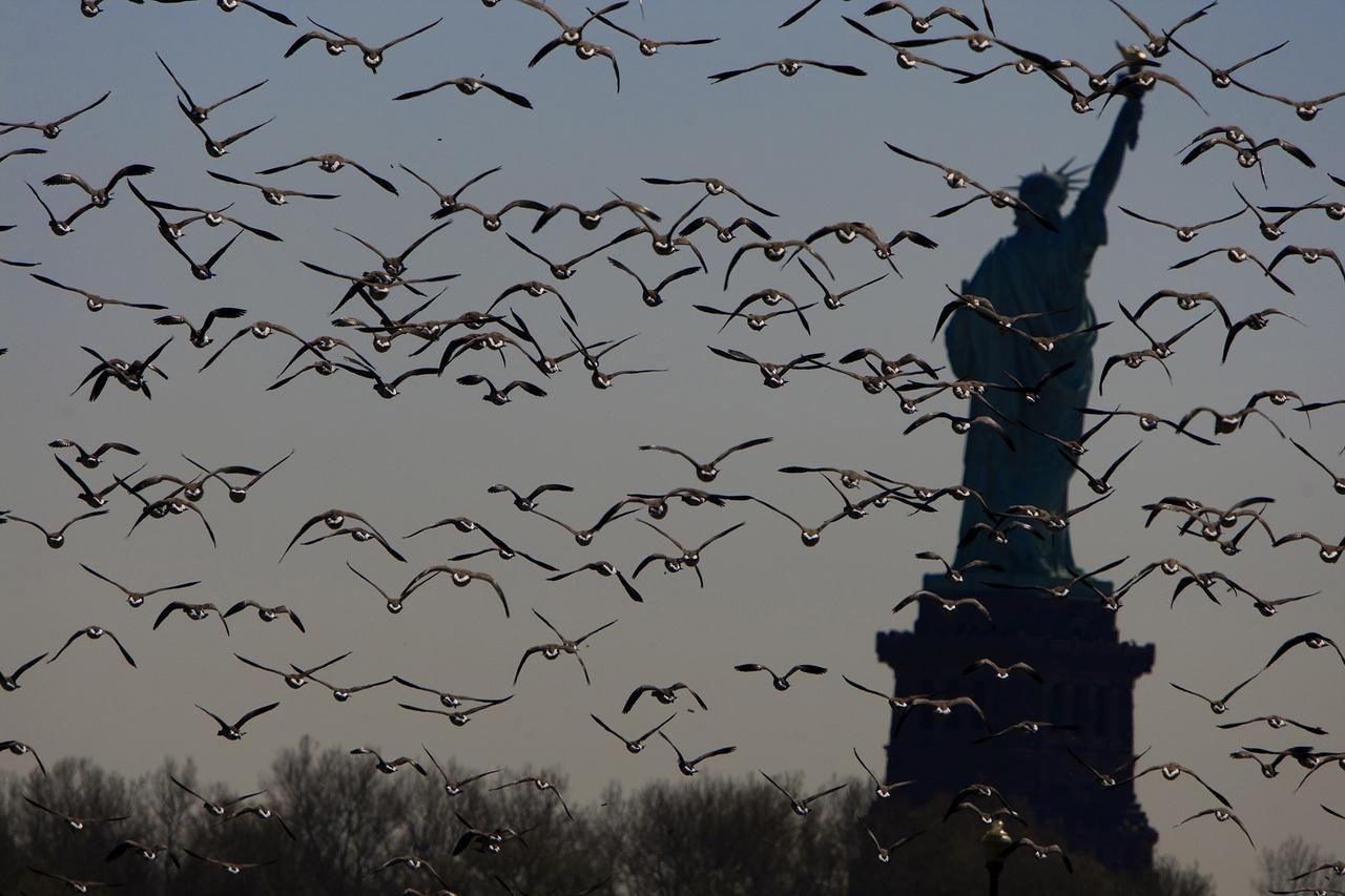 Une image de l'exposition "New York à vol dʹoiseau" de François Portmann. [François Portmann]