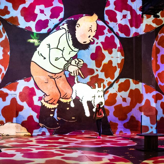 L'exposition "Tintin, l'aventure immersive". [C. de la Motte Rouge : © Hergé -Tintinimaginatio – 2022]