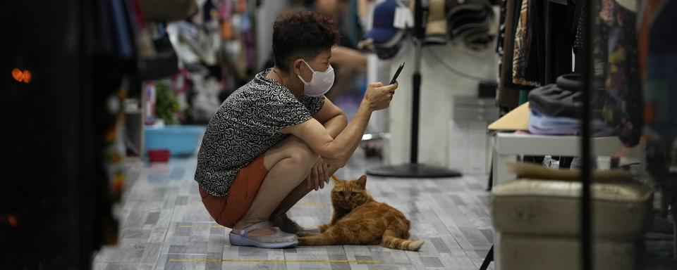 Une femme attend des clients en compagnie de son chat dans un magasin de Beijing, Chine. [Keystone/AP Photo - Ng Han Guan]