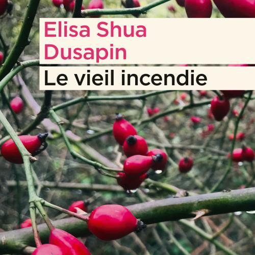 La couverture du livre "Le vieil incendie" d'Elisa Shua Dusaspin.