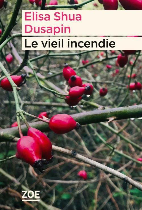 La couverture du livre "Le vieil incendie" d'Elisa Shua Dusaspin.