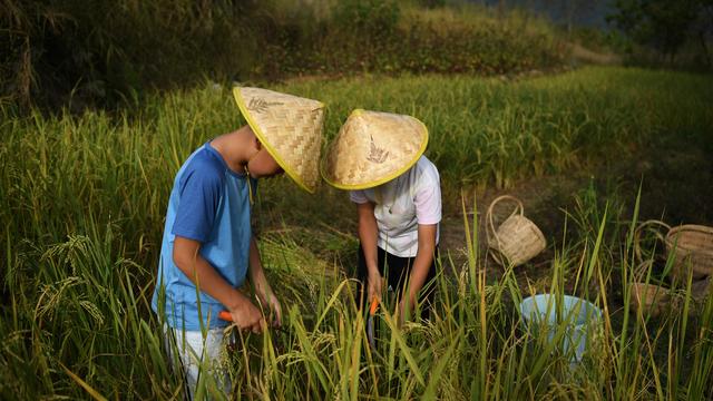 Les jeunes Chinois sont de plus en plus nombreux à se tourner vers la campagne plutôt que la ville pour être heureux (image d'illustration). [Reuters - Tingshu Wang]