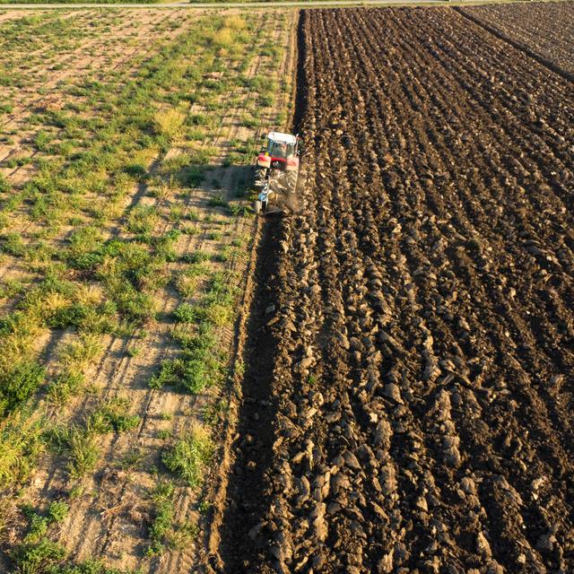 Les paradoxes de la nature: la surexploitation des ressources. [depositphotos - columbo]