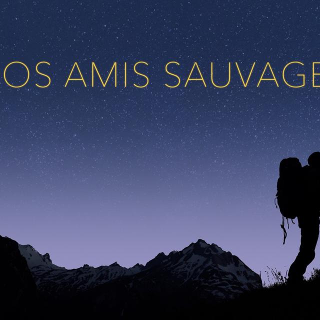 Nos amis sauvages. [RTS / Point Prod - Robin Recordon]