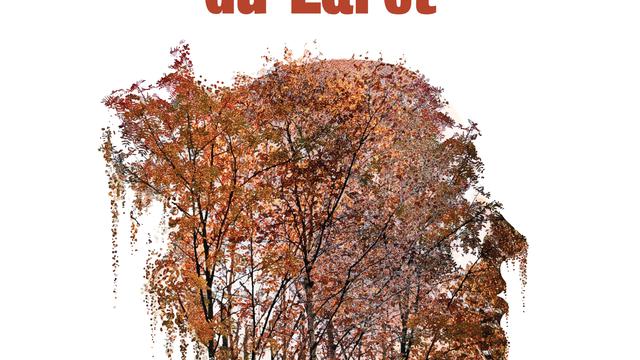 Couverture du roman "Le dernier souffle du Laret" de Noémie Charmoy [Editions Slatkine]