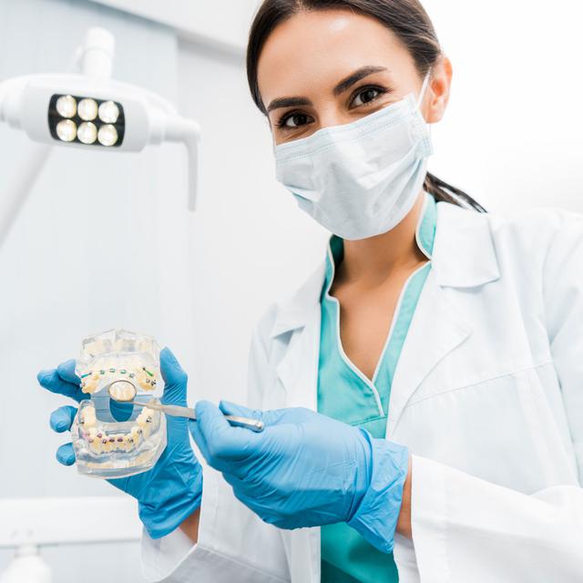 Une dentiste montre un modèle dentaire. [Depositphotos - AndrewLozovyi]