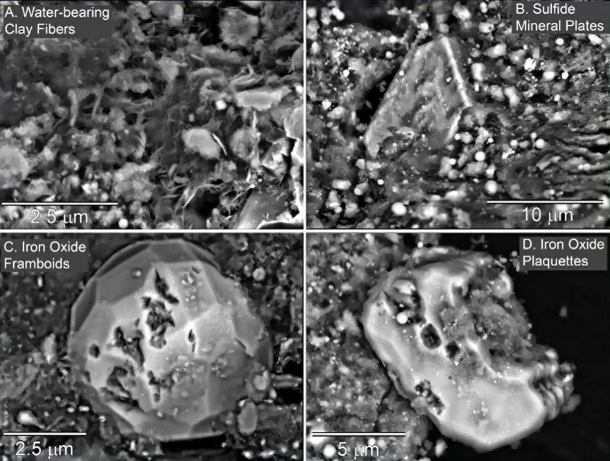 De la poussière noire de l'astéroïde Bennu vue au microscope électronique: en haut à gauche, un minéral qui contient de l'eau. En haut à droite, un sulfide, très important pour la biologie et les amino-acides. En bas, de la magnétite et de l'oxyde de fer: ils peuvent catalyser des processus biologiques. [NASA TV - Capture d'écran]