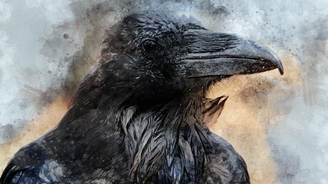Le corbeau (image d'illustration). [Depositphotos - brita.seifert@googlemail.com]