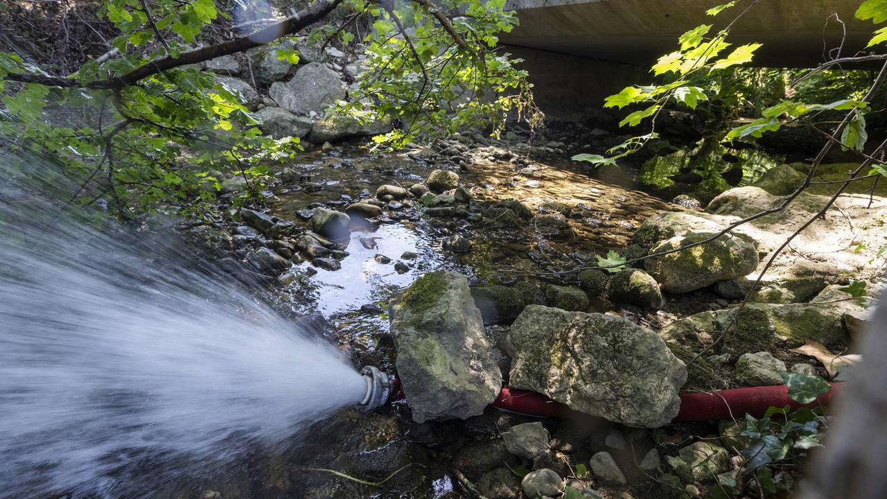De l'eau potable est déversée dans la Drize pour la deuxième année consécutive. [Keystone - Martial Trezzini]