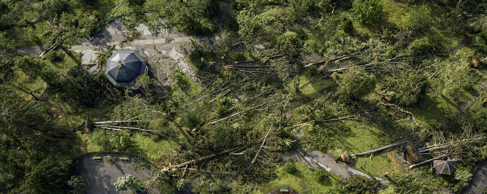 Des images d'un parc de La Chaux-de-Fonds dont les arbres ont été renversés. [Keystone - Valentin Flauraud]