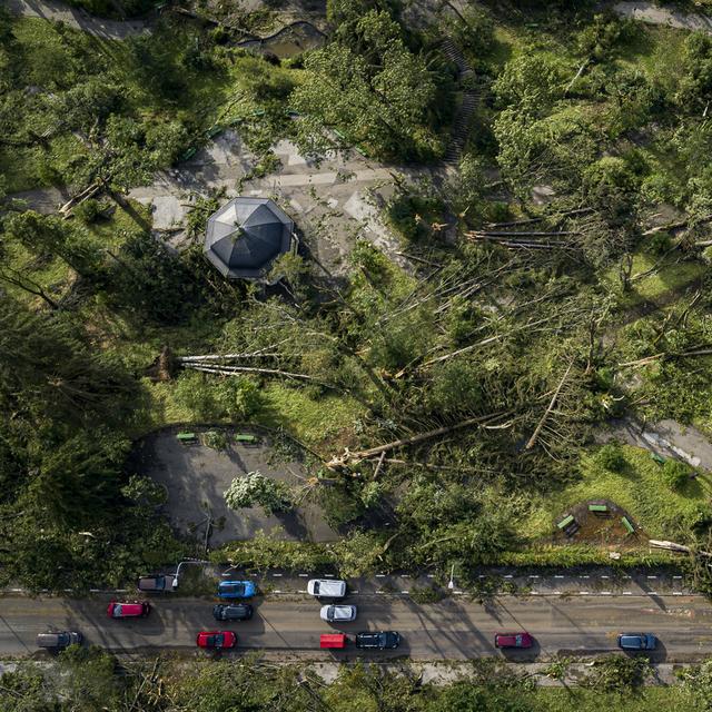 Des images d'un parc de La Chaux-de-Fonds dont les arbres ont été renversés. [Keystone - Valentin Flauraud]