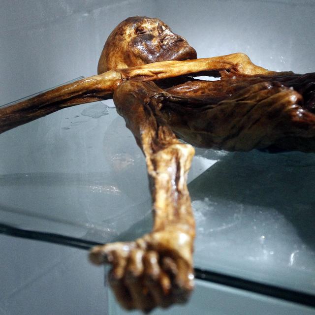 Ötzi [AFP - Andrea Solero]