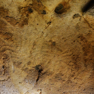 Des traces de doigts datant de plus de 60'000 ans ont été découvertes dans la grotte de la Roche-Cotard, dans le Centre-Val de Loire en France. [PLOS One - ©2023 Marquet et al.]