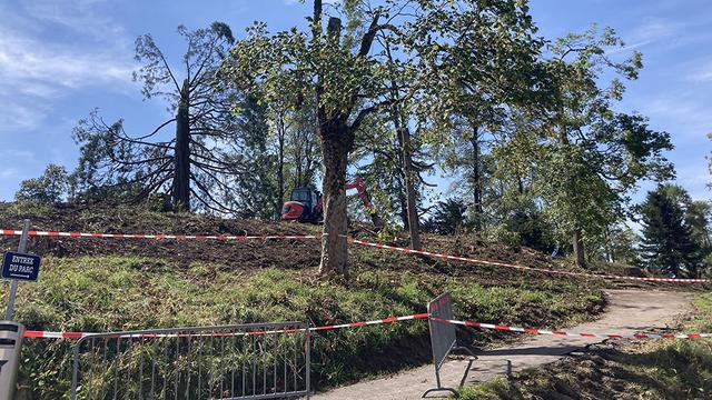 Un mois après la violente tempête, La Chaux-de-Fonds se reconstruit encore. [RTS - Romain Bardet]