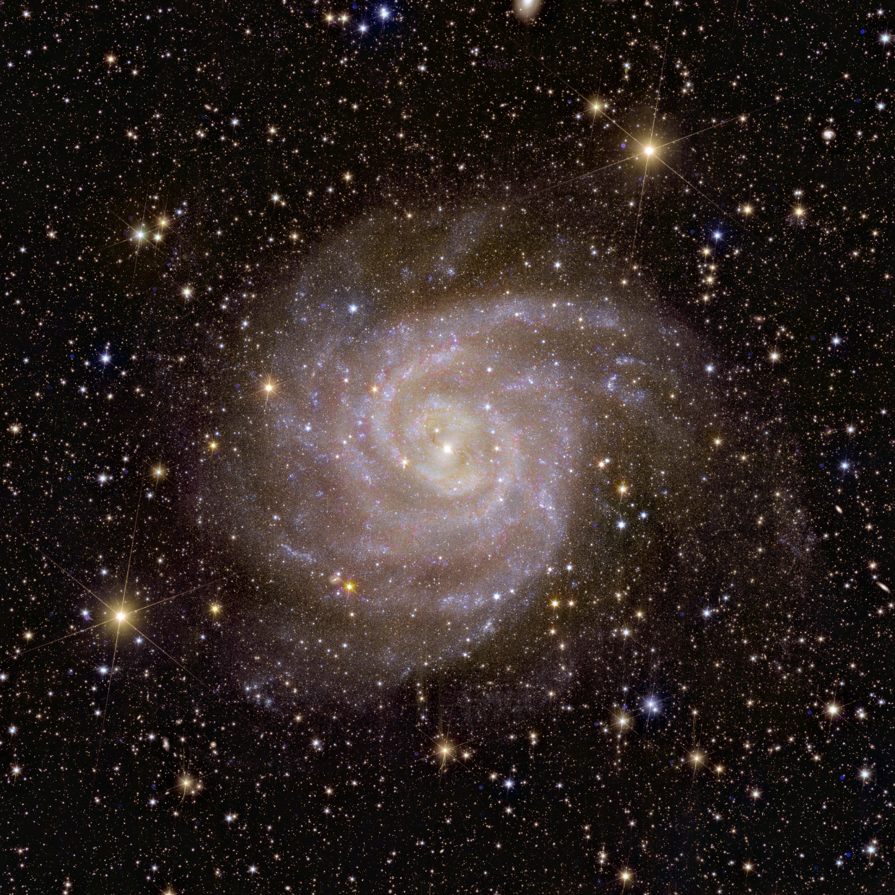 La galaxie spirale IC 342 est située à environ 11 millions d'années-lumière de la Terre, tout près de notre propre galaxie, en distance astronomique. [ESA/Euclid/Euclid Consortium/NASA - image processing J.-C. Cuillandre (CEA Paris-Saclay), G. Anselmi; CC BY-SA 3.0 IGO]