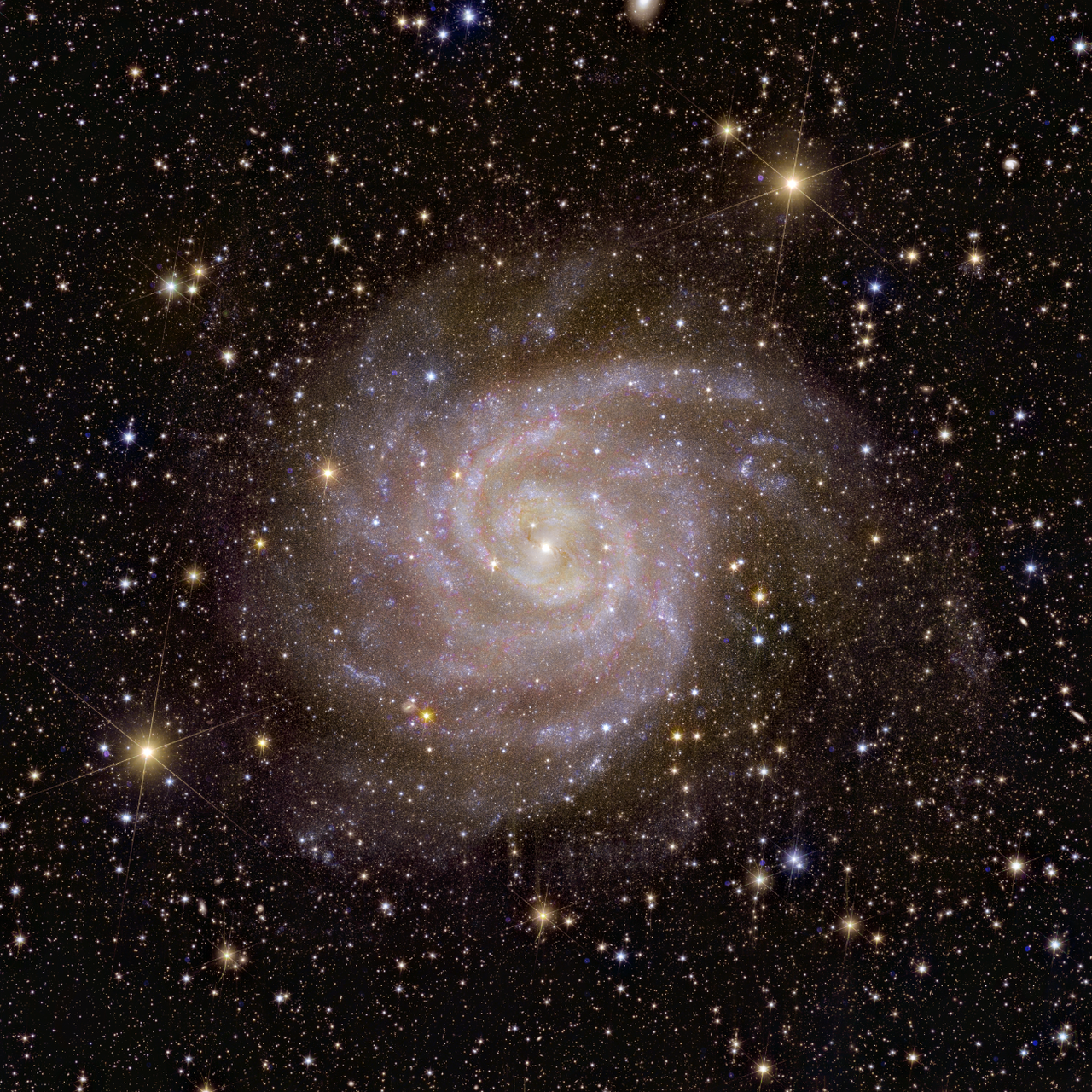 La galaxie spirale IC 342 est située à environ 11 millions d'années-lumière de la Terre, tout près de notre propre galaxie, en distance astronomique. [ESA/Euclid/Euclid Consortium/NASA - image processing J.-C. Cuillandre (CEA Paris-Saclay), G. Anselmi; CC BY-SA 3.0 IGO]