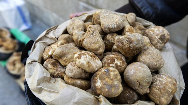 Image des truffes du désert vendues dans les rues de Damas, la capitale syrienne. [AFP - LOUAI BESHARA]