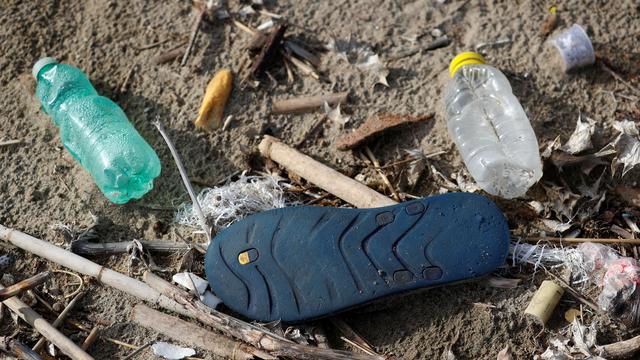 Le plastique est un fléau pour le réchauffement climatique et les espèces animales et végétales. [Reuters - Max Rossi]