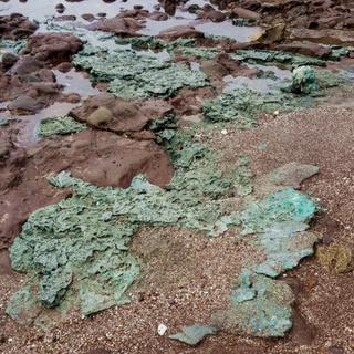 Des "plastiroches" (plastic rocks en anglais) découverte sur l'Île de Trinidad dans les Caraïbes. [AFP - Fernanda Avelar / Parana Federal University]