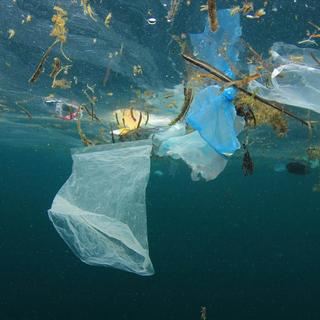 Des déchets plastiques dans l'océan. [Depositphotos]