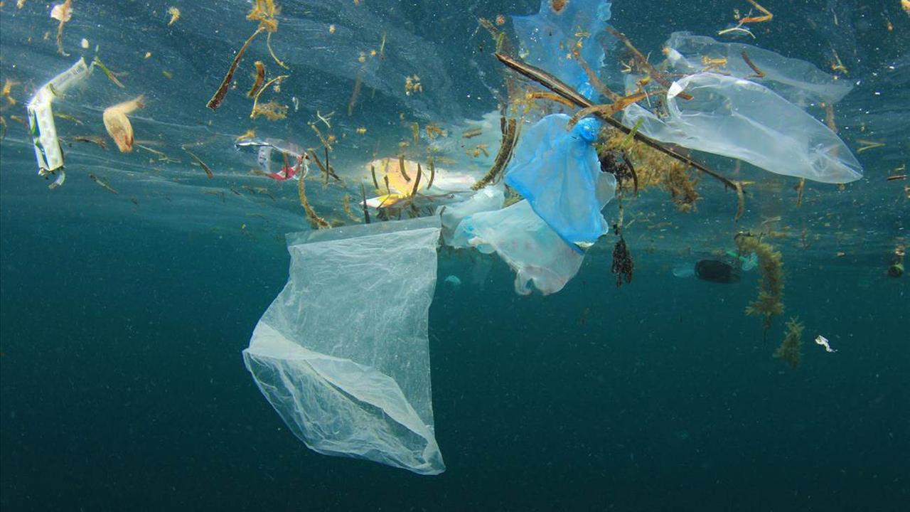 Des déchets plastiques dans l'océan. [Depositphotos]