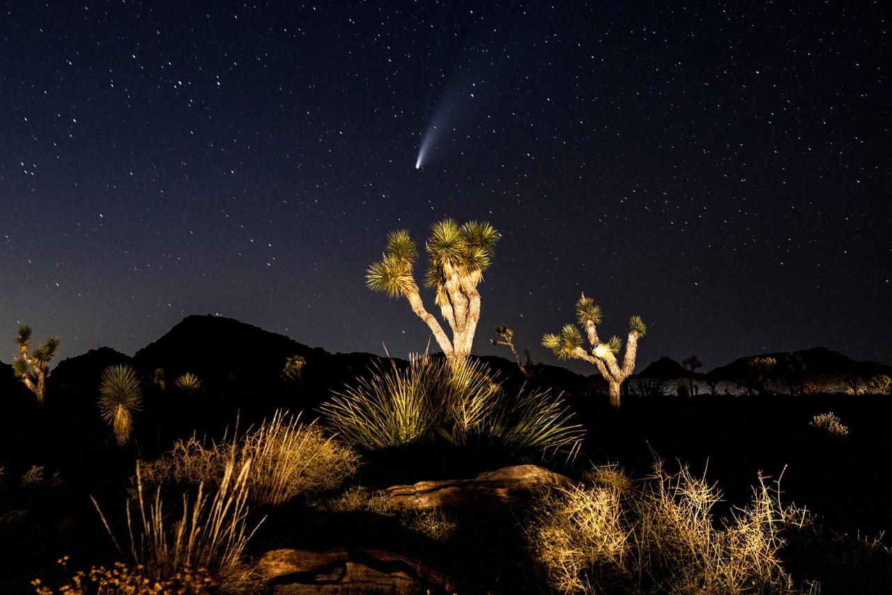 La comète NEOWISE ou C/2020 F3 est vue après le coucher du soleil au-dessus du parc national de Joshua Tree, en Californie, aux États-Unis, le 19 juillet 2020. [Keystone - EPA/ETIENNE LAURENT]