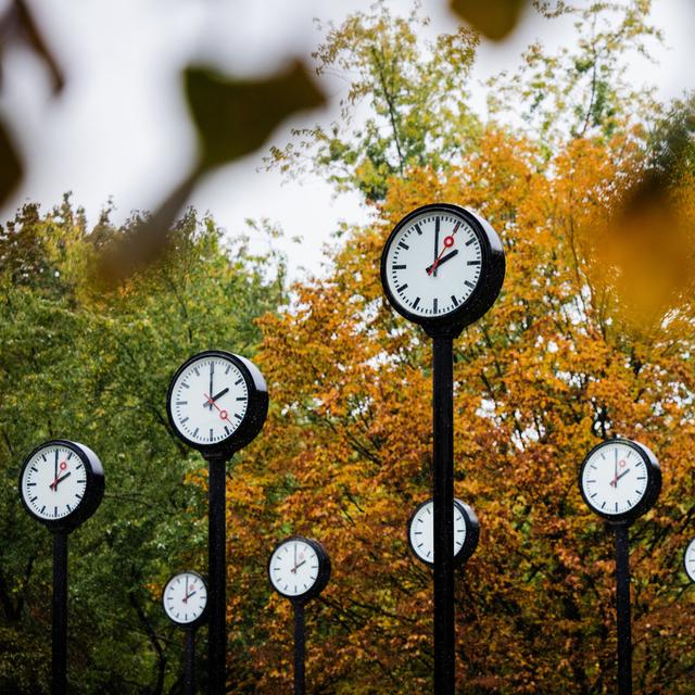 Des horloges dans un parc à Düsseldorf. [Keystone - DPA/Rolf Vennenbernd]