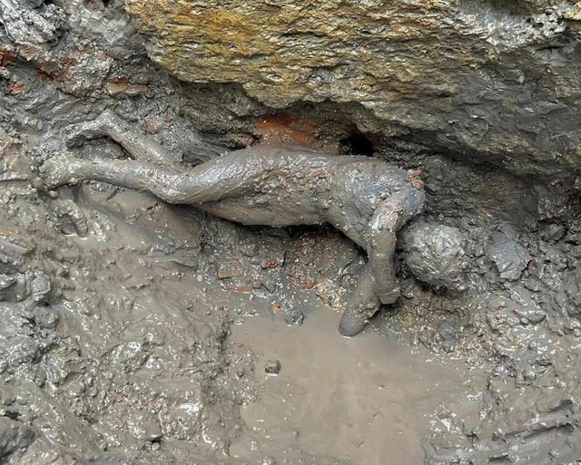 Une des statues de bronze découvertes à San Casciano dei Bagni, près de Sienne. [Keystone - EPA Italian Ministry of Culture]