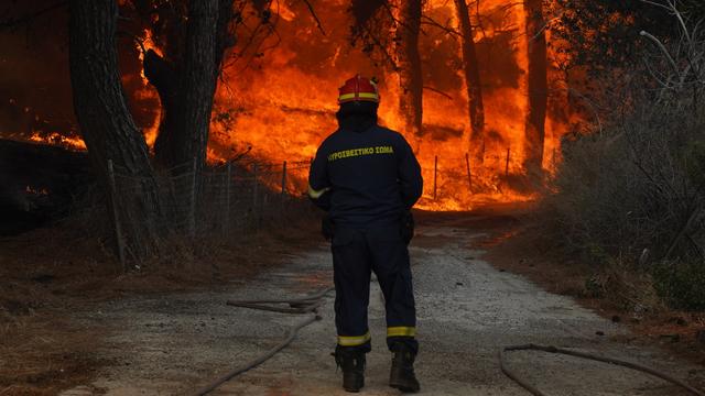 Un projet du WWf démontre que les incendies contrôlés pourraient aider le pays méditerranéen à éviter les incendies de forêt annuels. [Keystone - Panagiotis Balaskas - AP Photo]