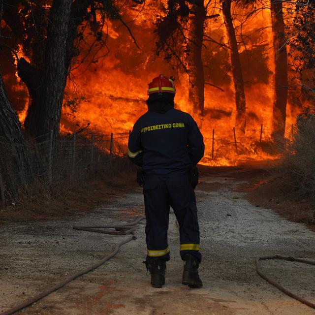 Un projet du WWf démontre que les incendies contrôlés pourraient aider le pays méditerranéen à éviter les incendies de forêt annuels. [Keystone - Panagiotis Balaskas - AP Photo]