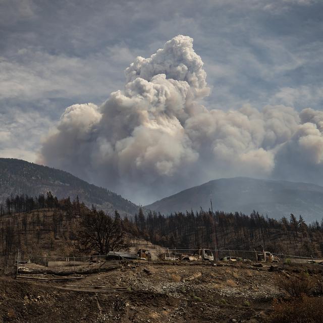 Les incendies continuent de ravager le Canada. [Keystone - Darryl Dyck/The Canadian Press via AP)]