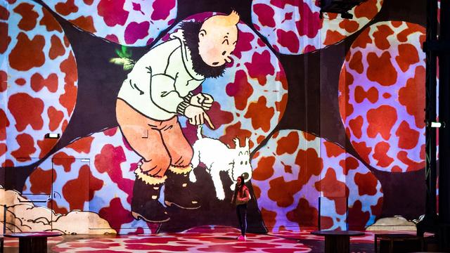 Une photo de l'exposition "Tintin, l'aventure immersive". [Opus One - CdelaMotteRouge]