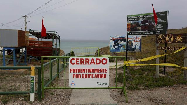 Les autorités enquêtent sur une possible épidémie de grippe aviaire dans les îles Galapagos. [Keystone - Juan Macri]