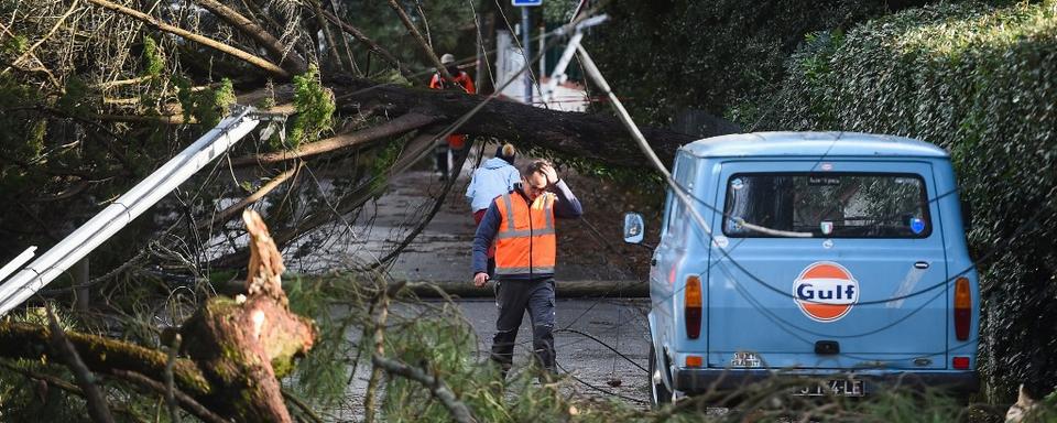 Après le passage de la tempête Ciaran sur la France, place aux réparations. [AFP - Sebastien Salom-Gomis]