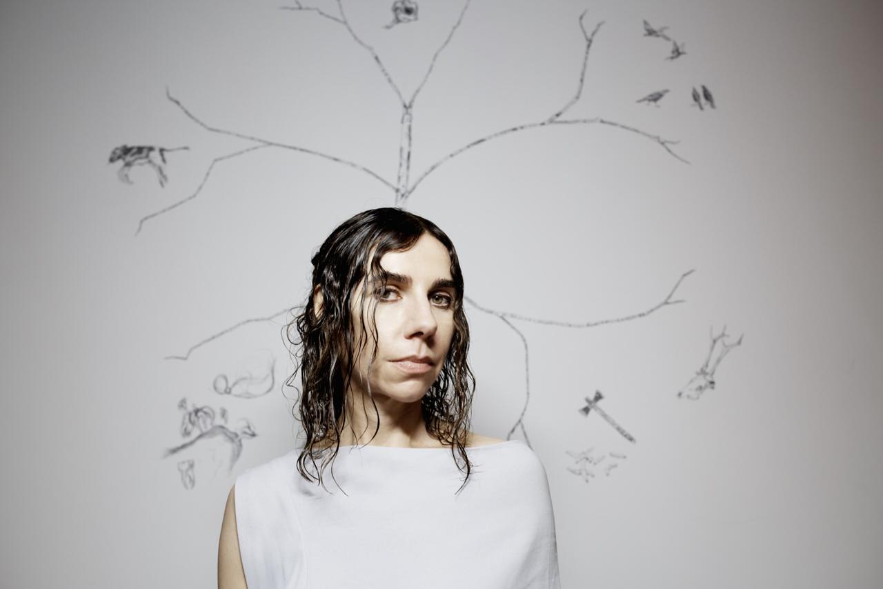 La chanteuse anglaise PJ Harvey. [DR - Steve Gullick]