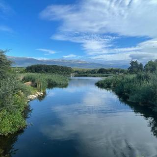 Le Lac des Vernes dans le canton de Genève le 2 août 2023 pour l'émission On se jette à l'eau. [RTS - Ainhoa Ibarrola]